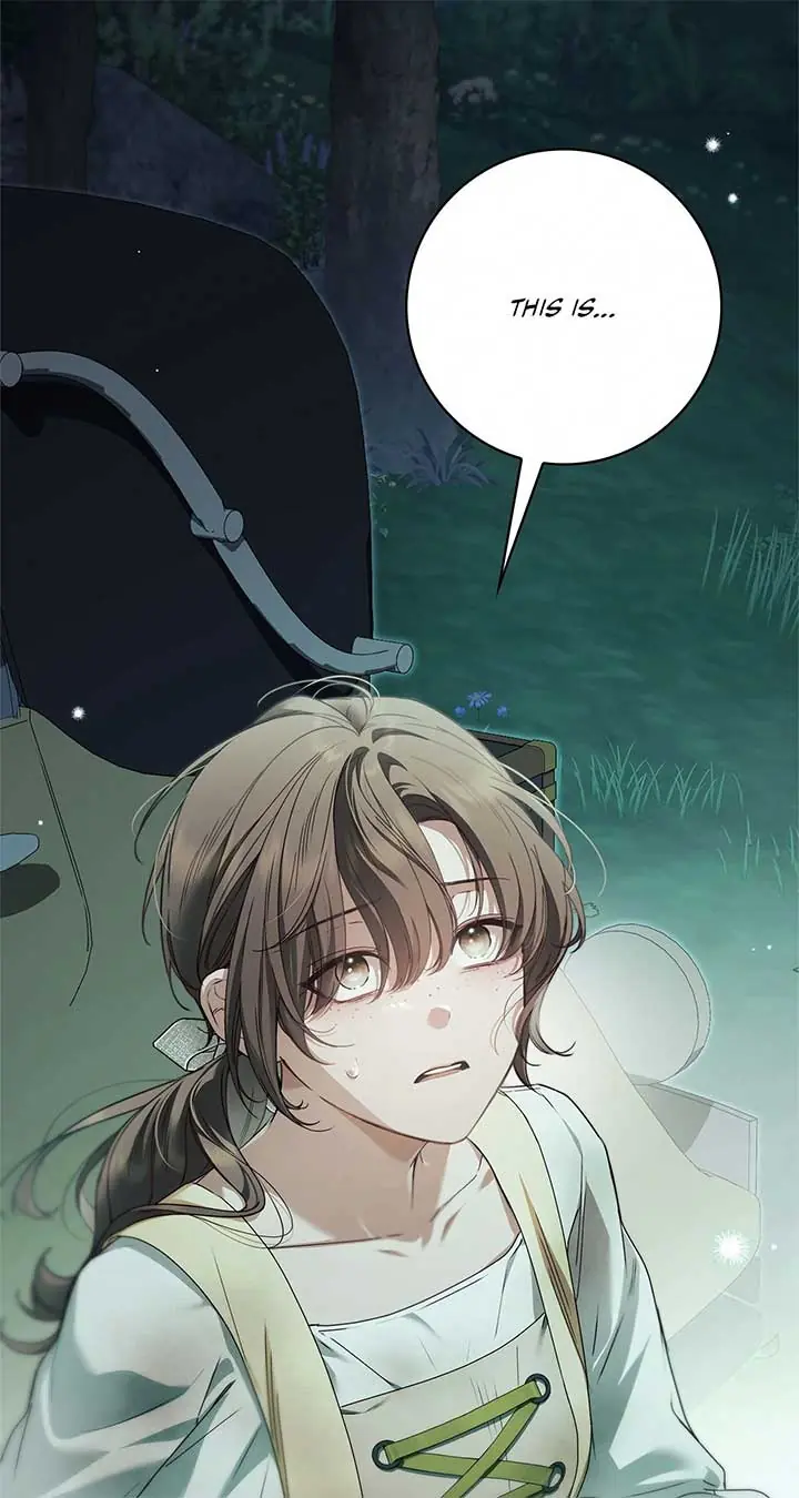 The Count's Secret Maid Chapter 49 Page 16
