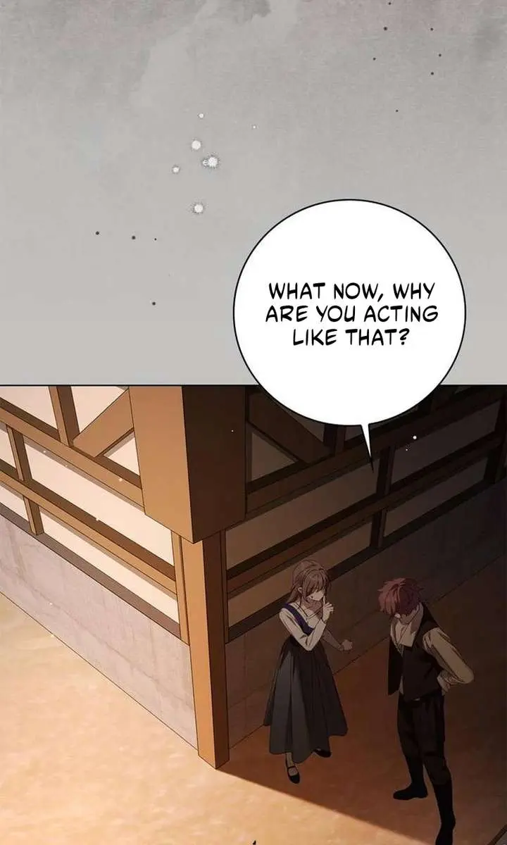 The Count's Secret Maid Chapter 52 Page 33