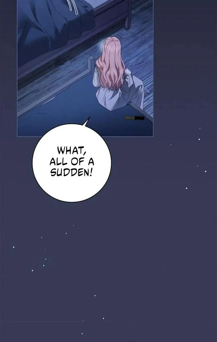 The Count's Secret Maid Chapter 52 Page 47