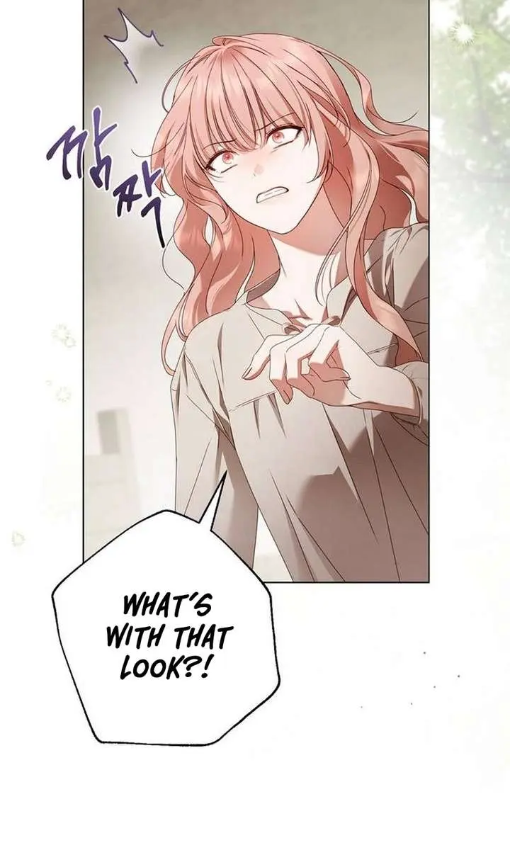 The Count's Secret Maid Chapter 53 Page 33