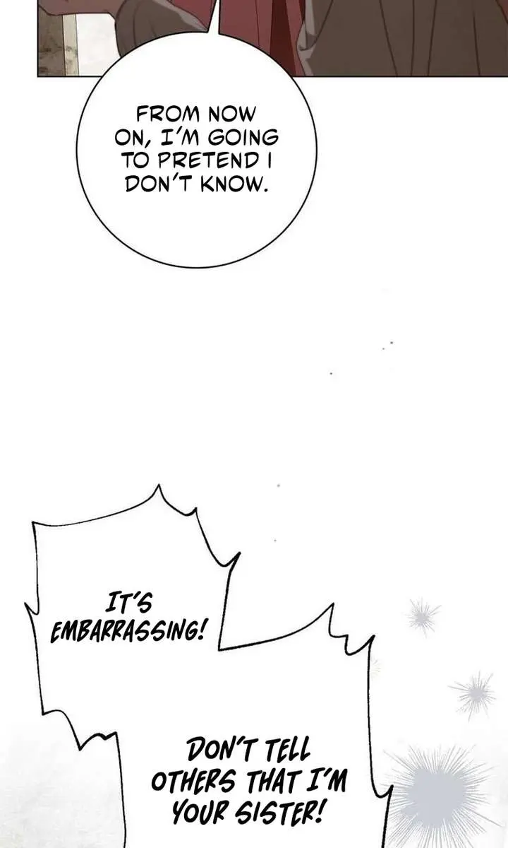 The Count's Secret Maid Chapter 53 Page 40