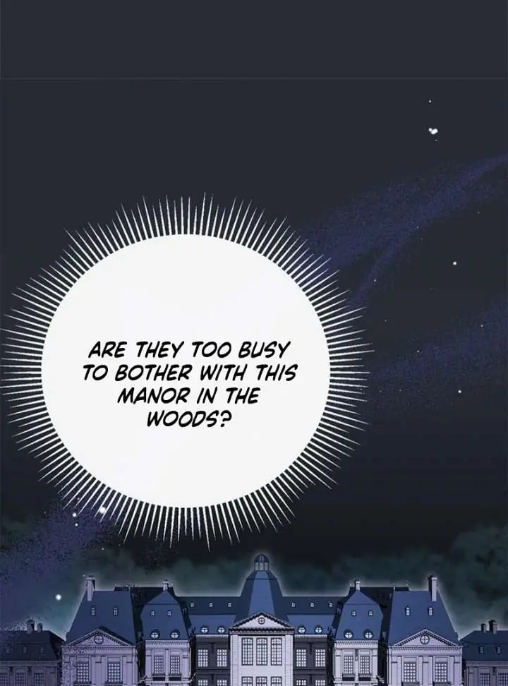 The Count's Secret Maid Chapter 58 Page 133