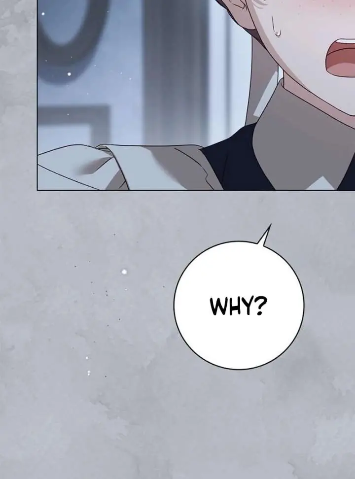 The Count's Secret Maid Chapter 58 Page 155