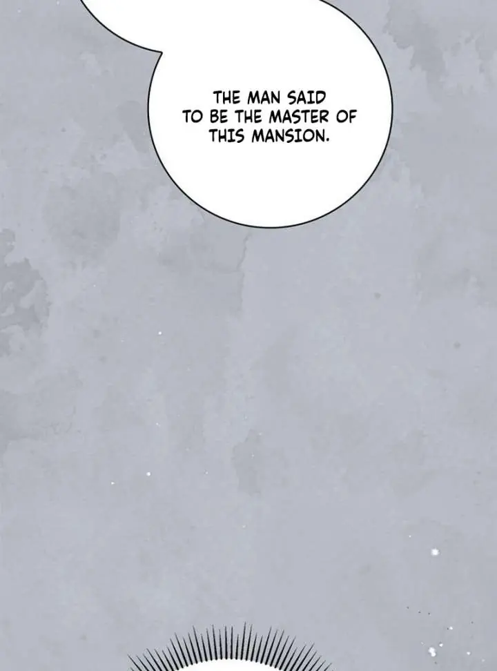 The Count's Secret Maid Chapter 58 Page 157