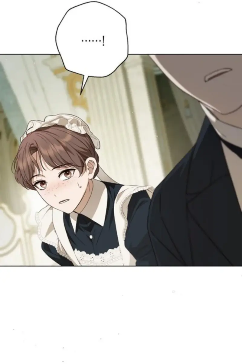 The Count's Secret Maid Chapter 59 Page 100