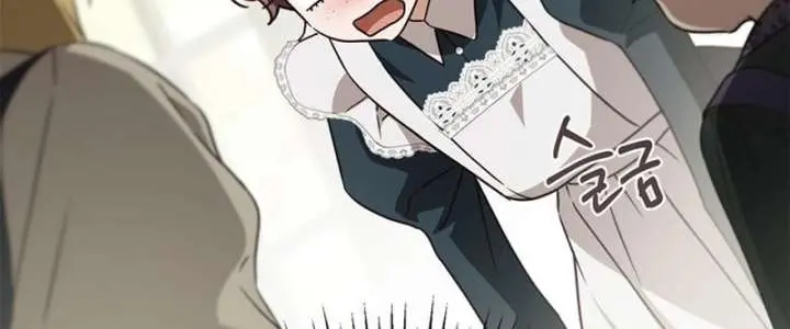 The Count's Secret Maid Chapter 61 Page 49