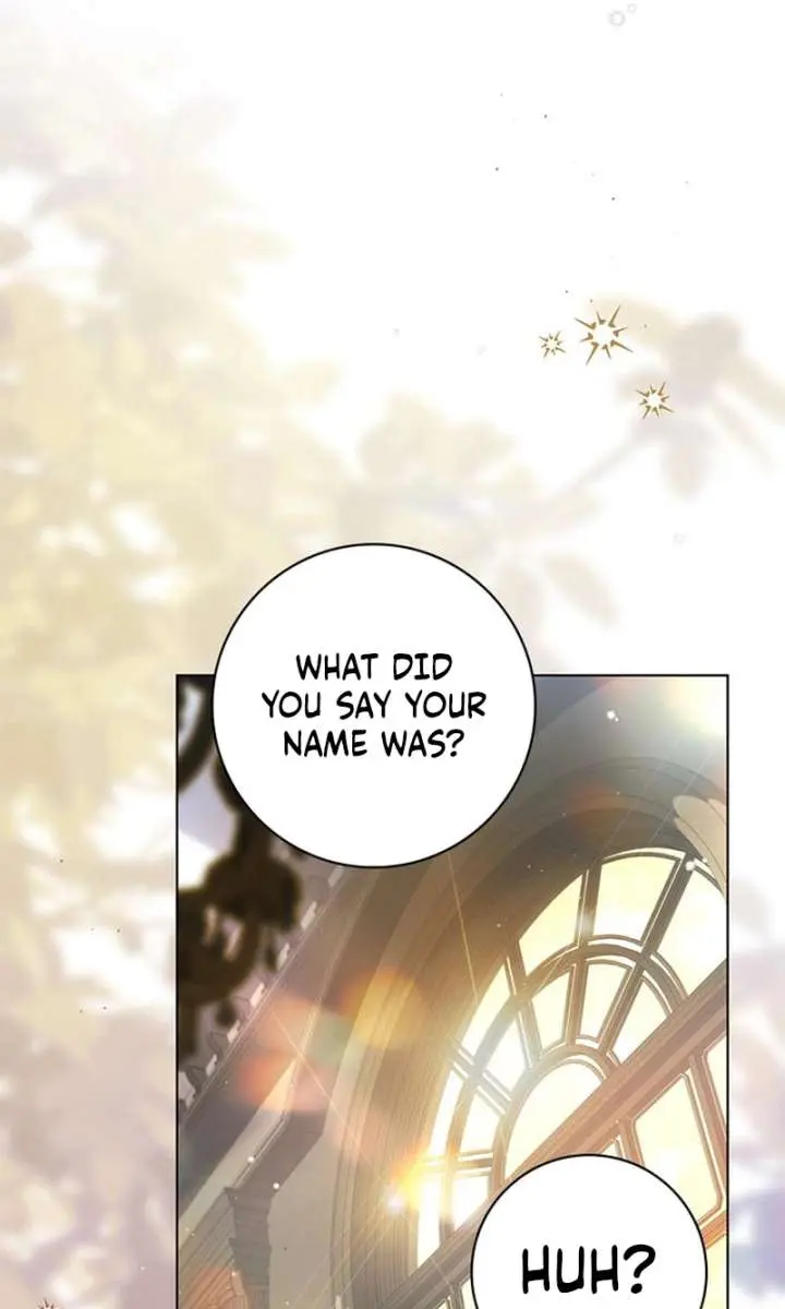 The Count's Secret Maid Chapter 61 Page 87