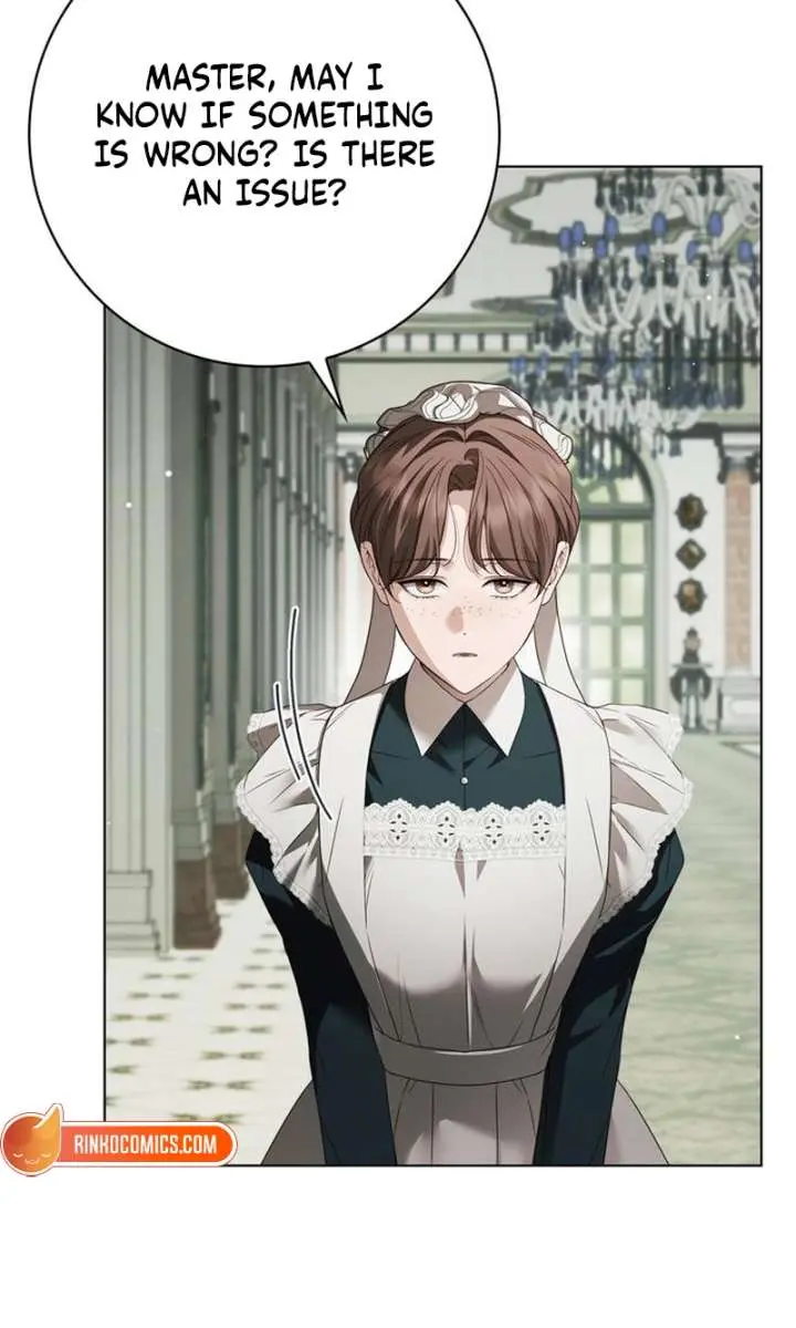 The Count's Secret Maid Chapter 64 Page 27