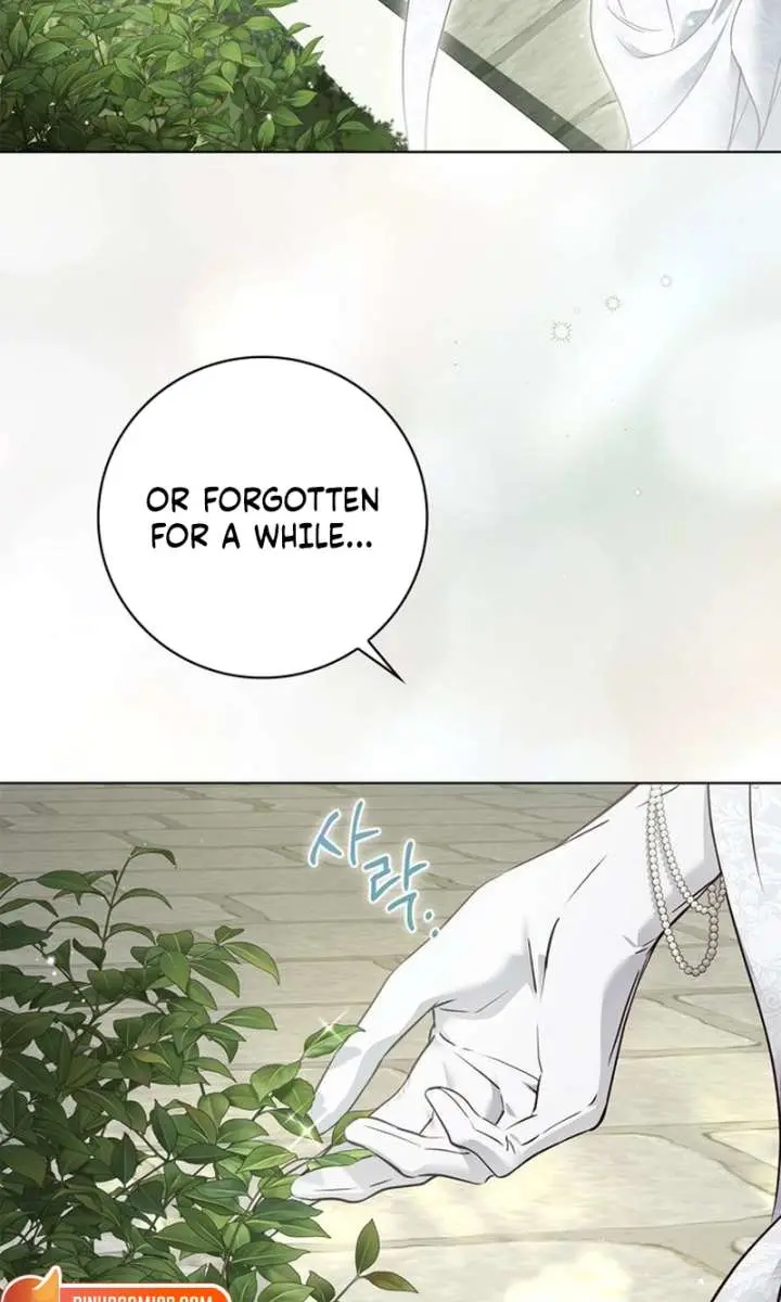 The Count's Secret Maid Chapter 65 Page 36