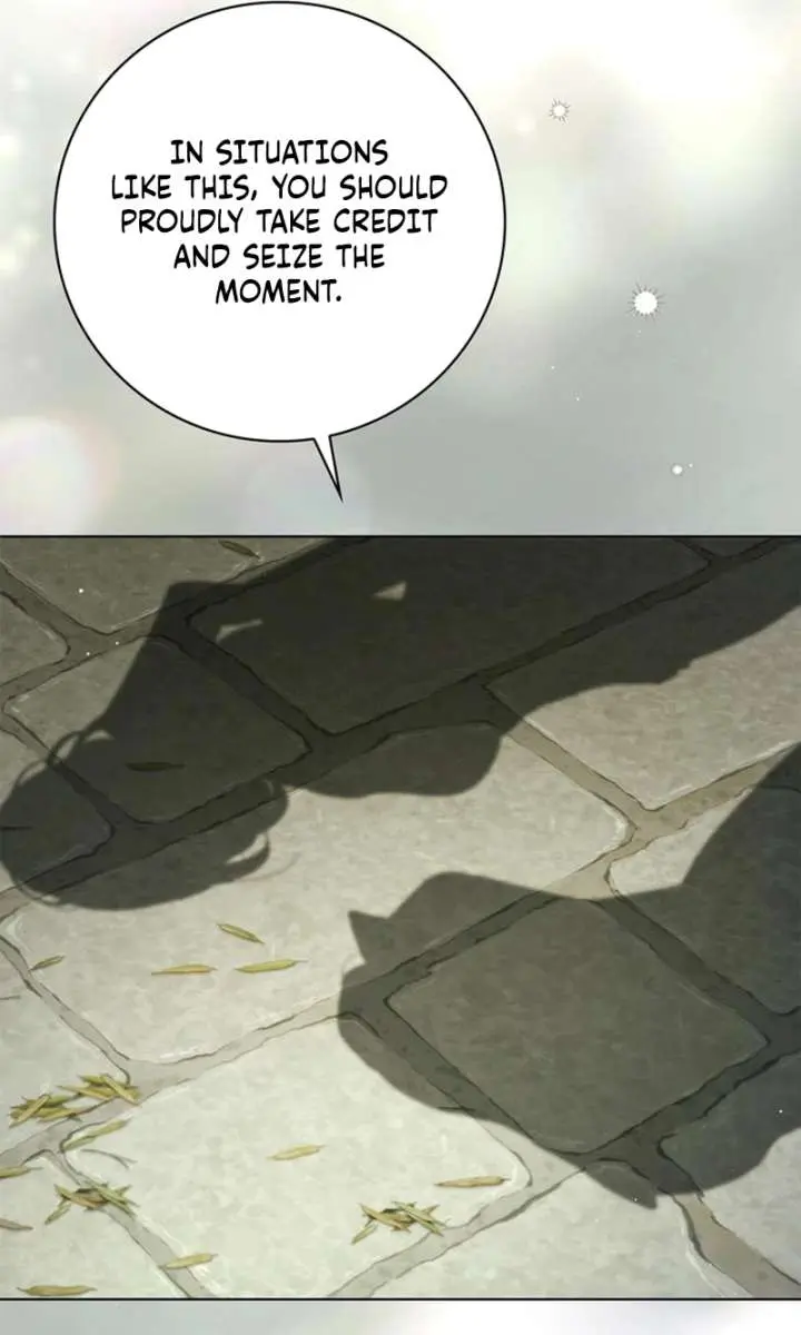 The Count's Secret Maid Chapter 65 Page 44