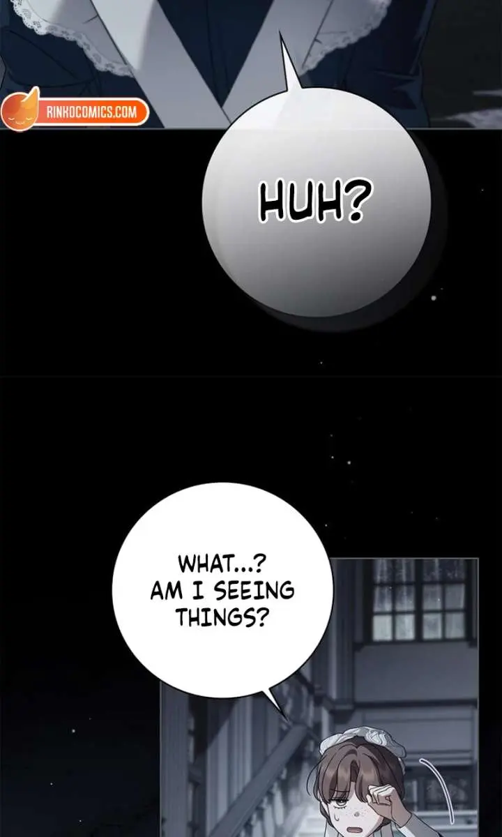 The Count's Secret Maid Chapter 65 Page 104