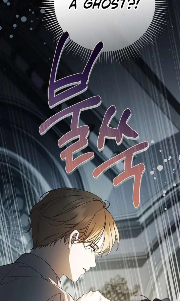 The Count's Secret Maid Chapter 65 Page 110