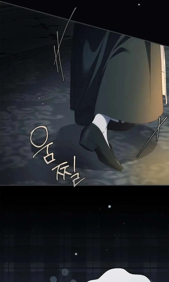 The Count's Secret Maid Chapter 66 Page 43