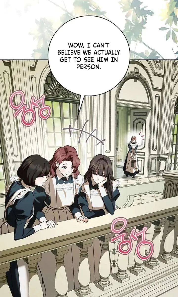 The Count's Secret Maid Chapter 67 Page 45