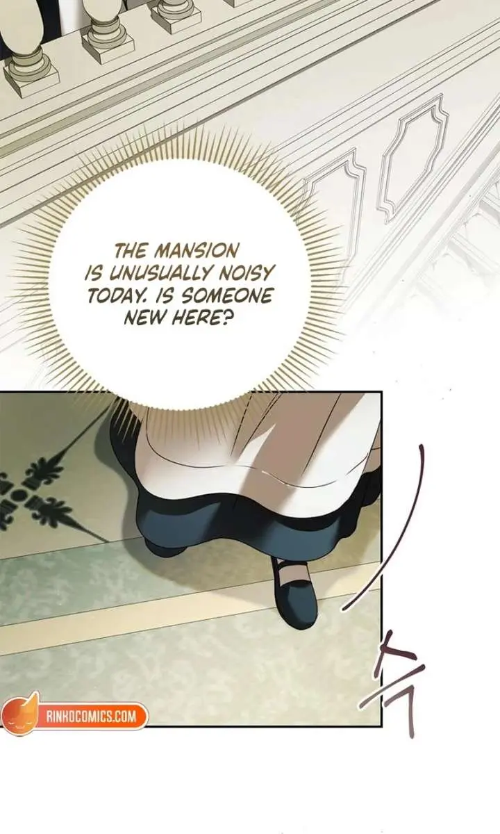 The Count's Secret Maid Chapter 67 Page 46
