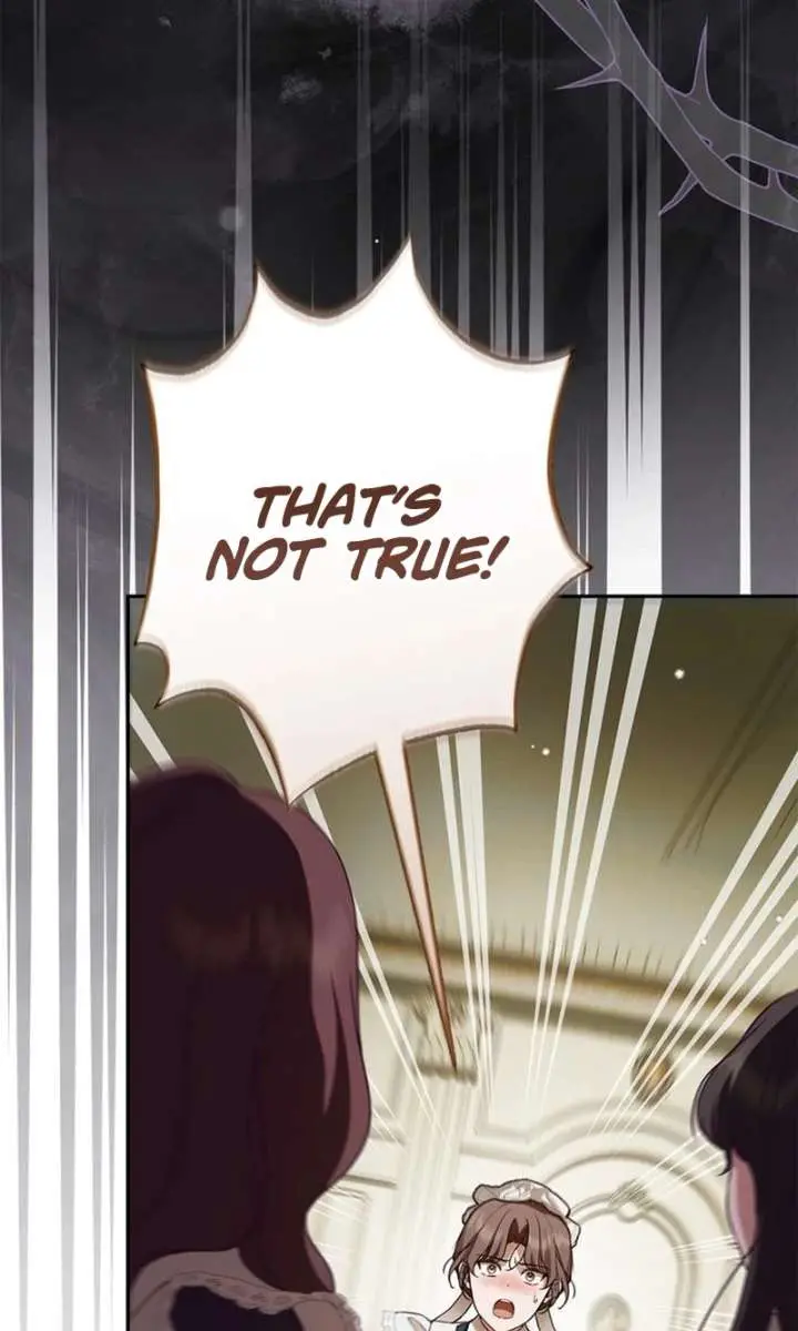 The Count's Secret Maid Chapter 67 Page 63