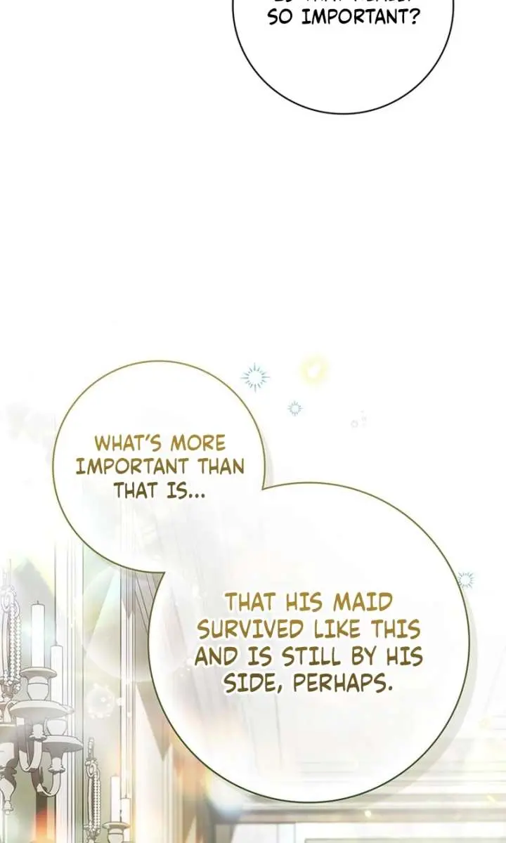 The Count's Secret Maid Chapter 70 Page 28