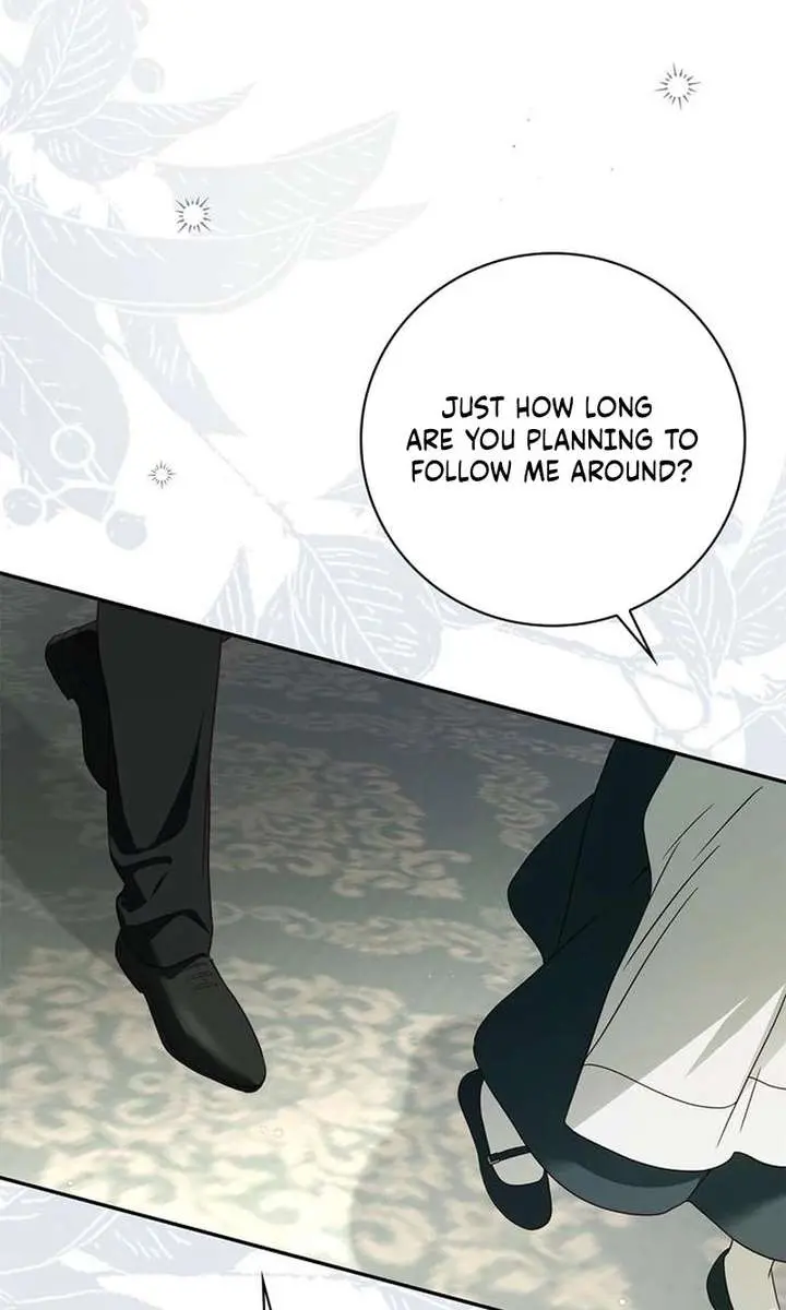 The Count's Secret Maid Chapter 71 Page 84
