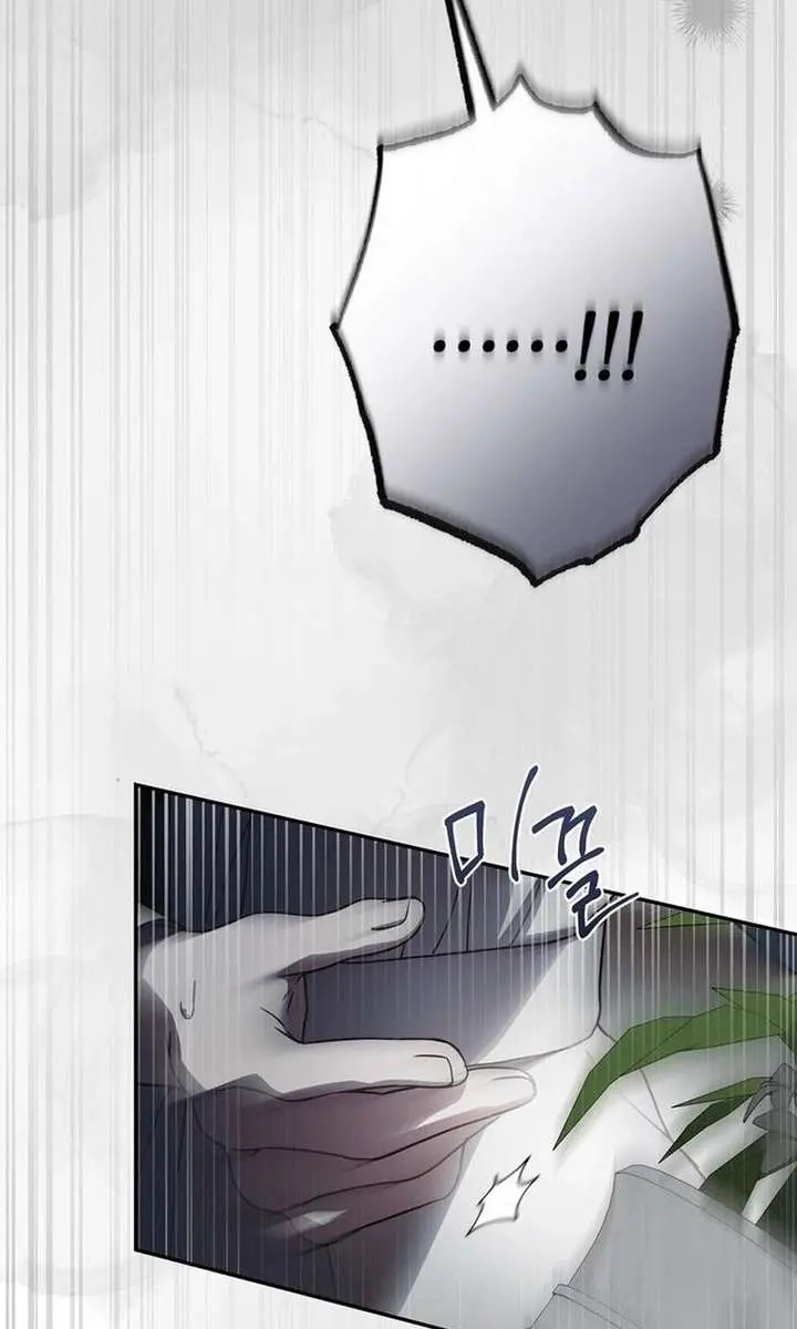 The Count's Secret Maid Chapter 71 Page 90