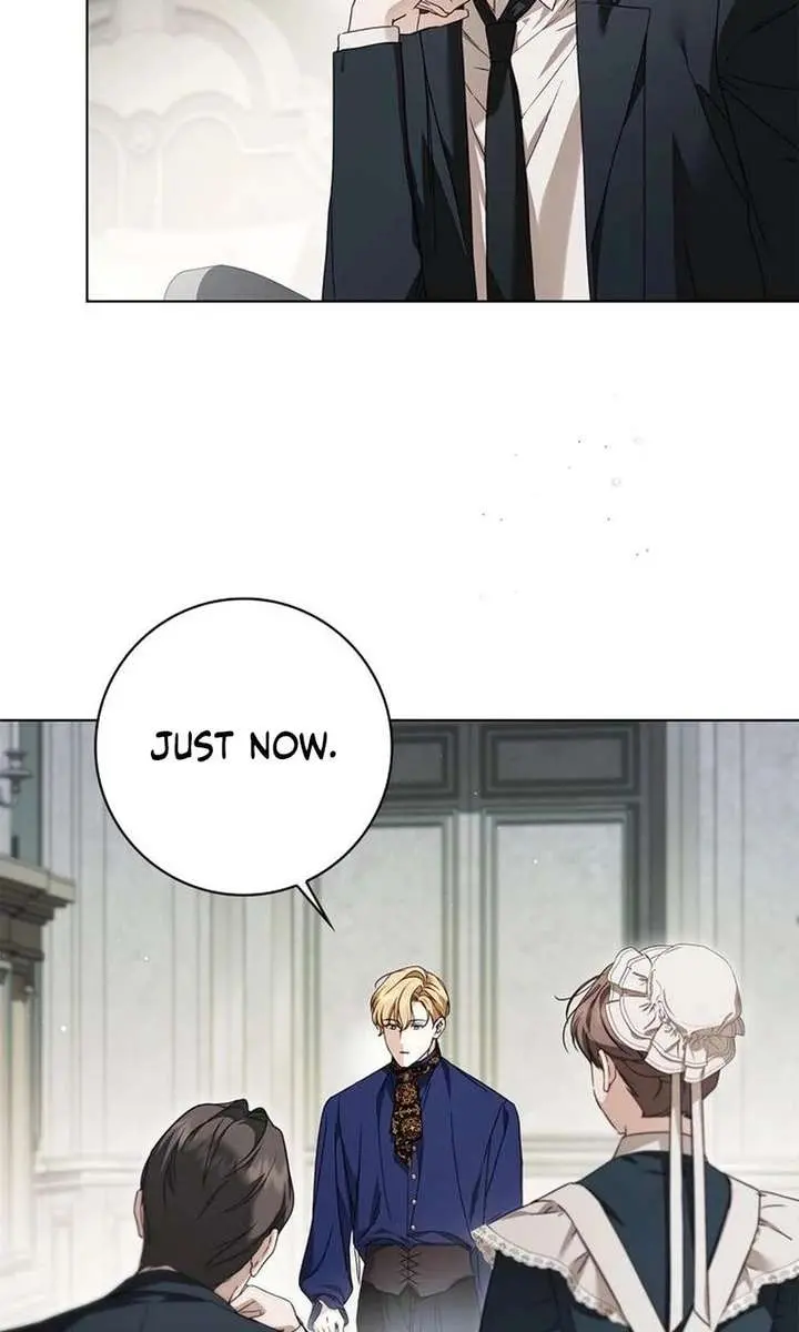 The Count's Secret Maid Chapter 73 Page 45