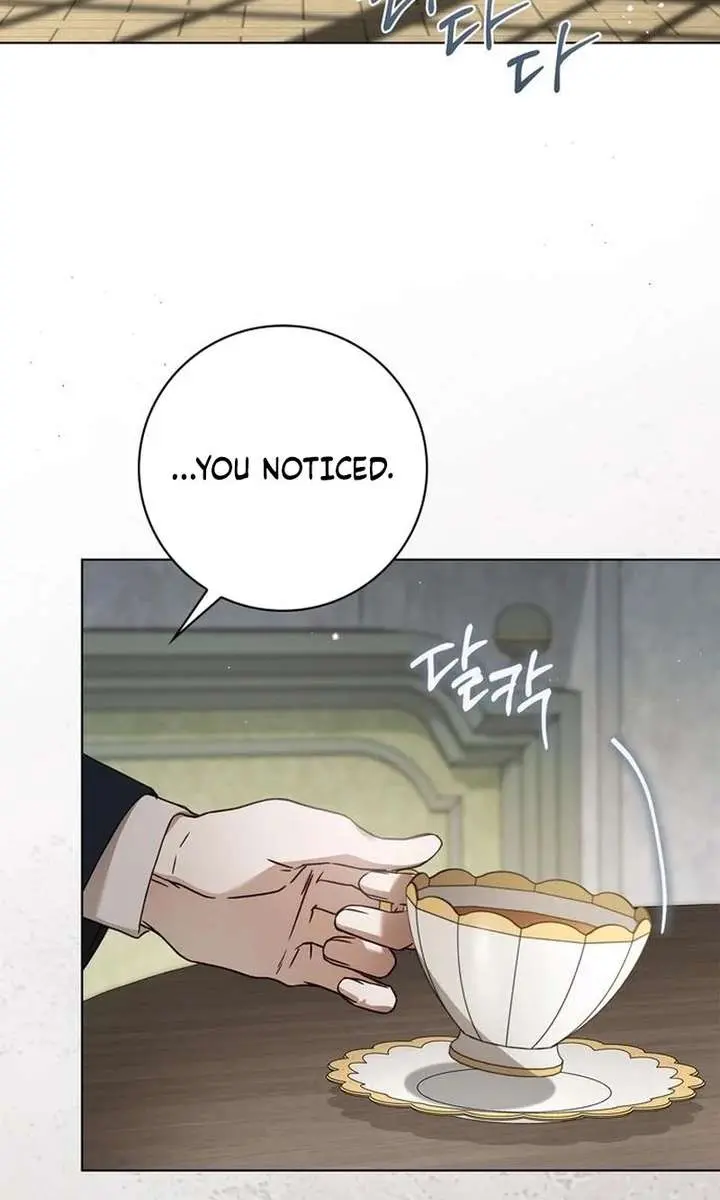 The Count's Secret Maid Chapter 74 Page 17