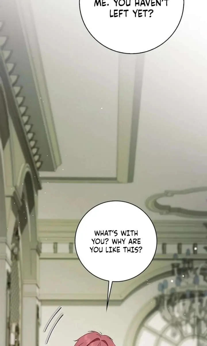 The Count's Secret Maid Chapter 75 Page 107