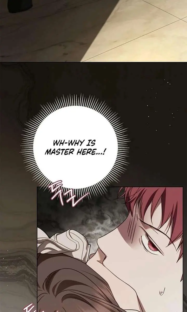 The Count's Secret Maid Chapter 76 Page 85