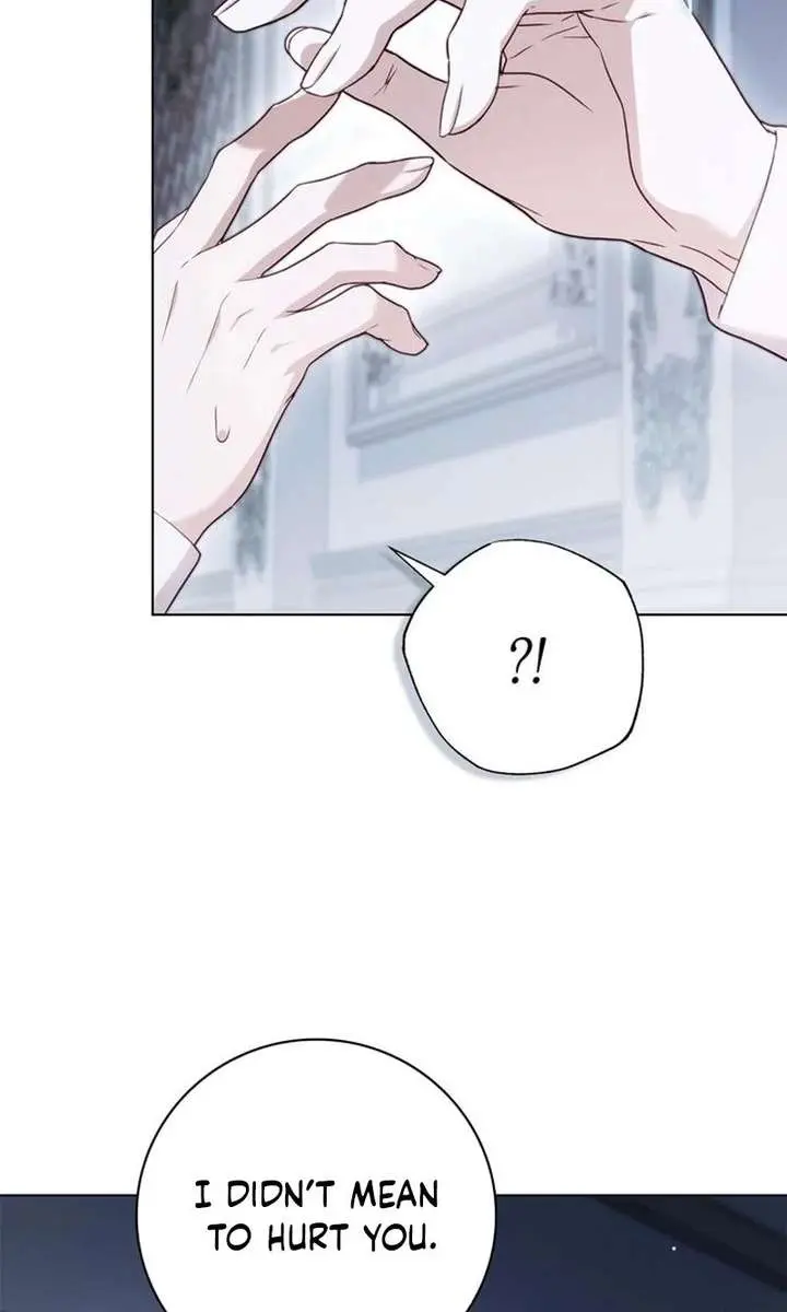 The Count's Secret Maid Chapter 79 Page 38