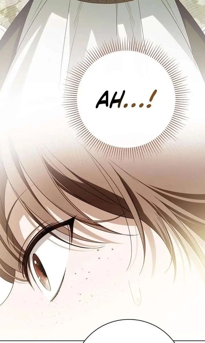 The Count's Secret Maid Chapter 79 Page 93