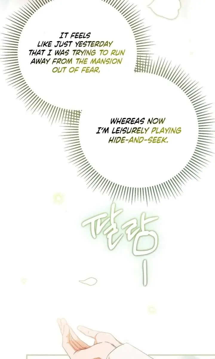 The Count's Secret Maid Chapter 81 Page 13
