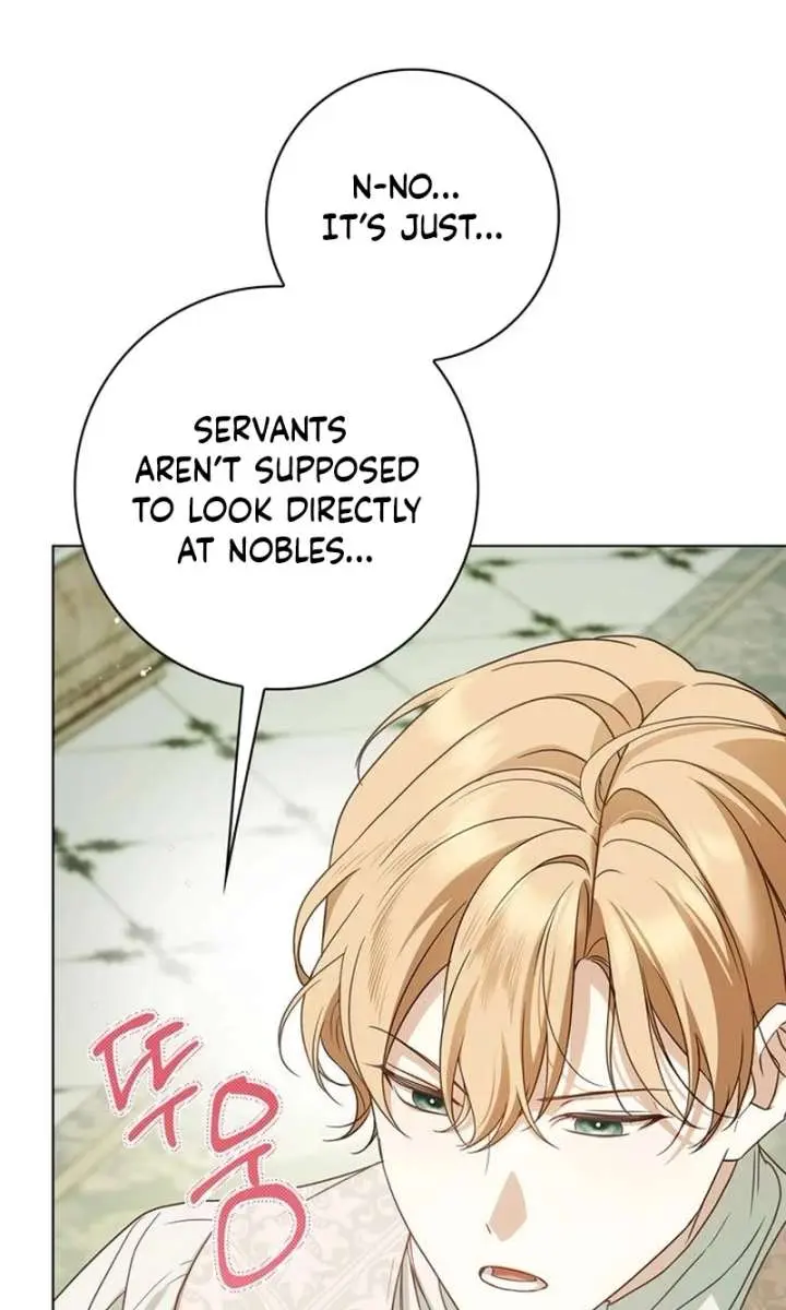 The Count's Secret Maid Chapter 81 Page 27