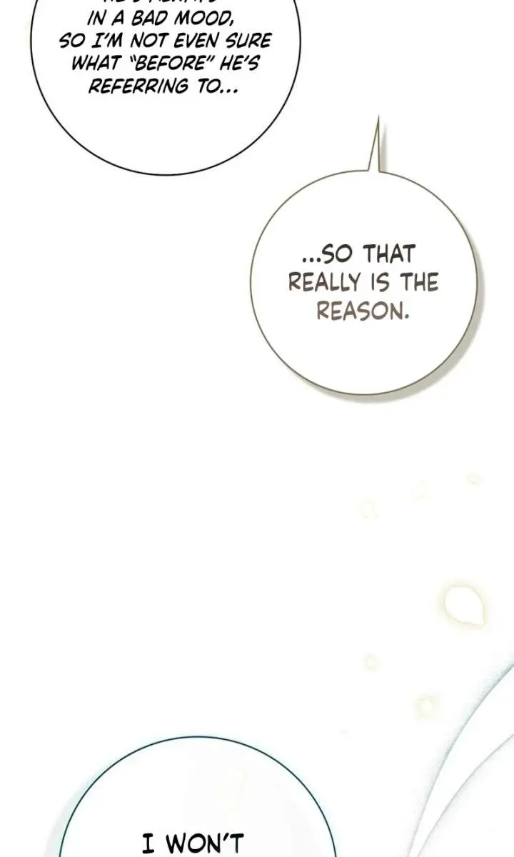 The Count's Secret Maid Chapter 81 Page 32