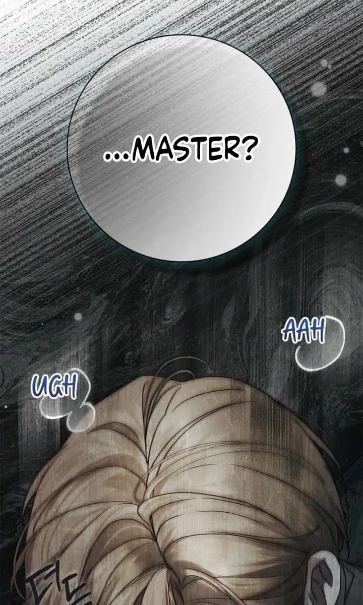The Count's Secret Maid Chapter 81 Page 73