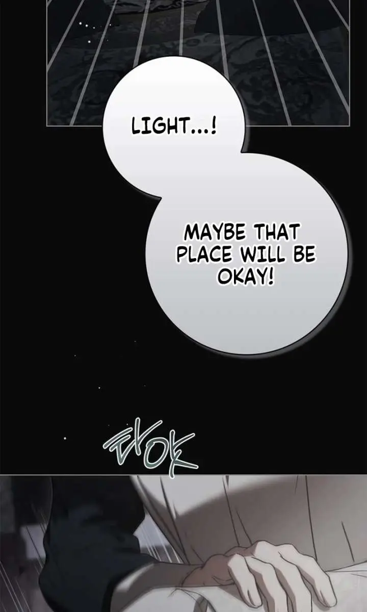 The Count's Secret Maid Chapter 81 Page 103