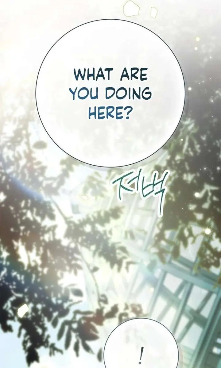The Count's Secret Maid Chapter 83 Page 52