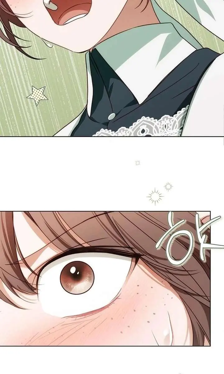 The Count's Secret Maid Chapter 83 Page 67