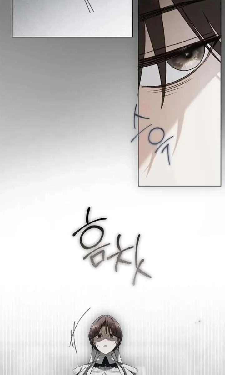 The Count's Secret Maid Chapter 84 Page 17