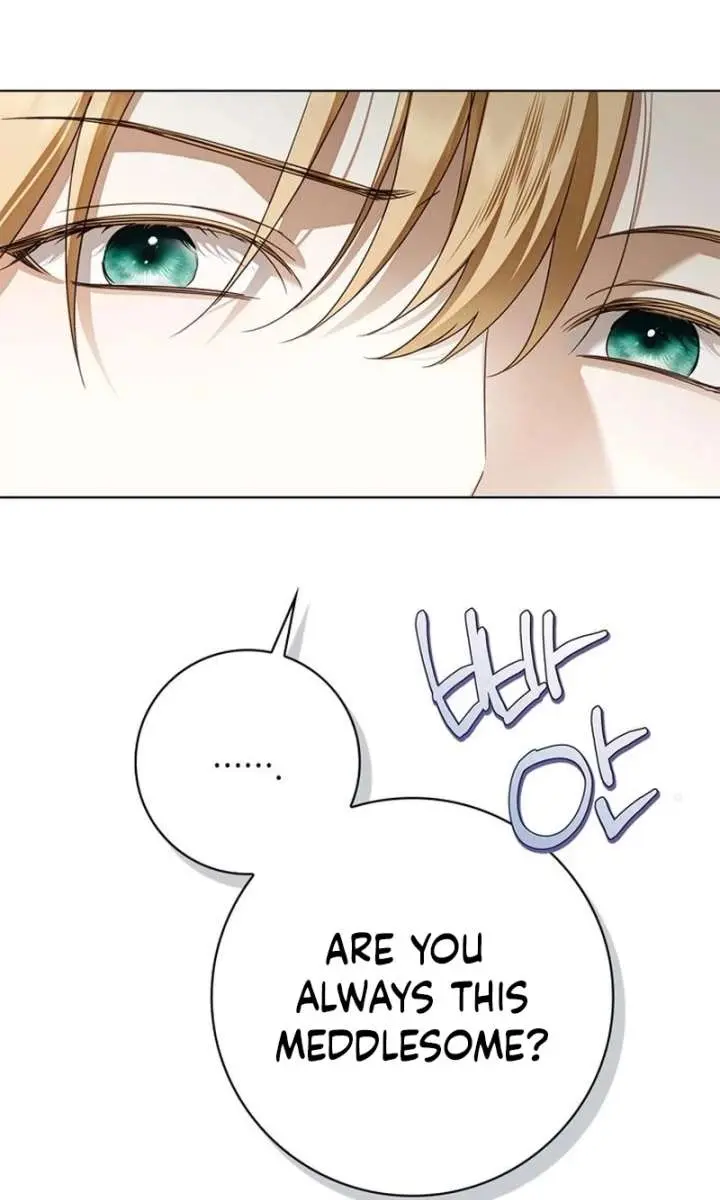 The Count's Secret Maid Chapter 84 Page 40