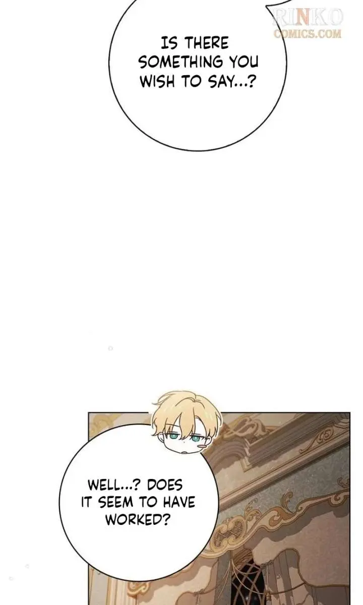 The Count's Secret Maid Chapter 86 Page 104