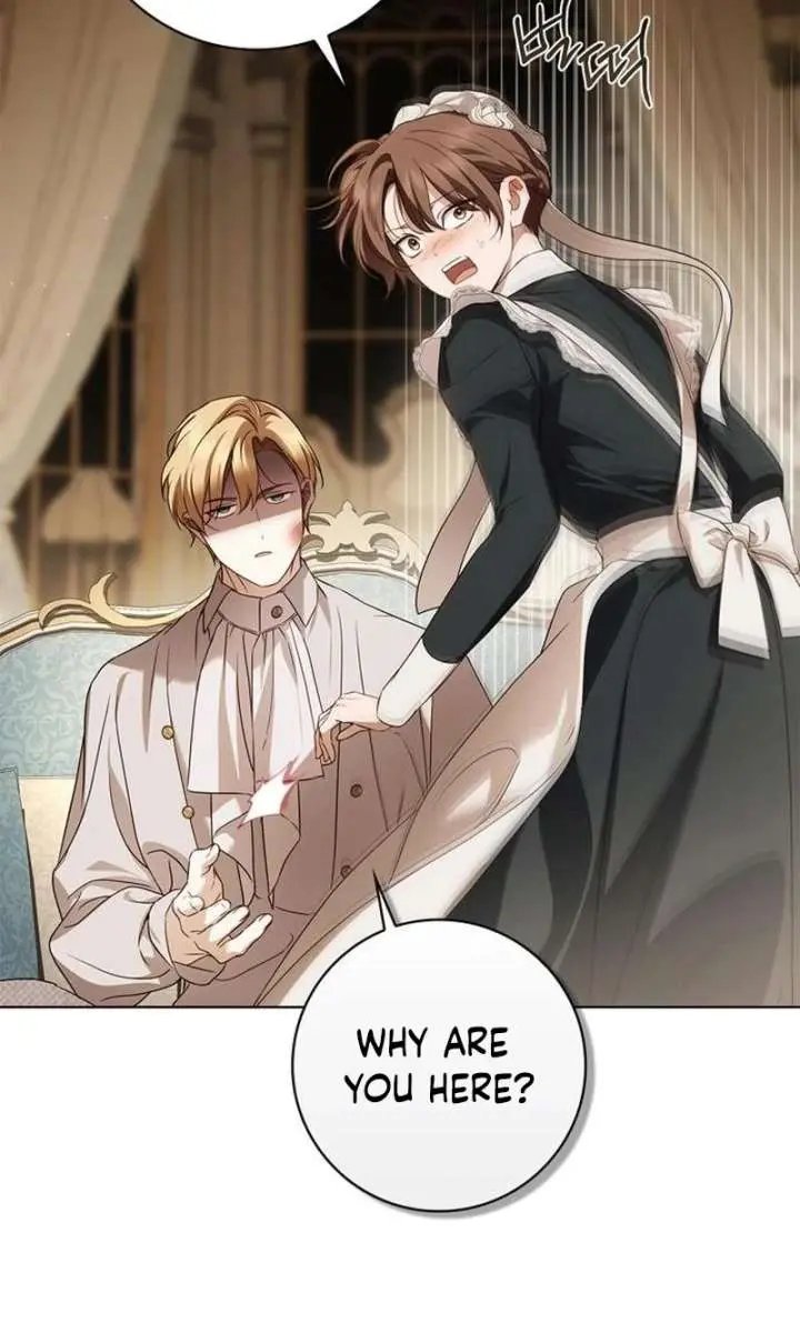 The Count's Secret Maid Chapter 87 Page 19
