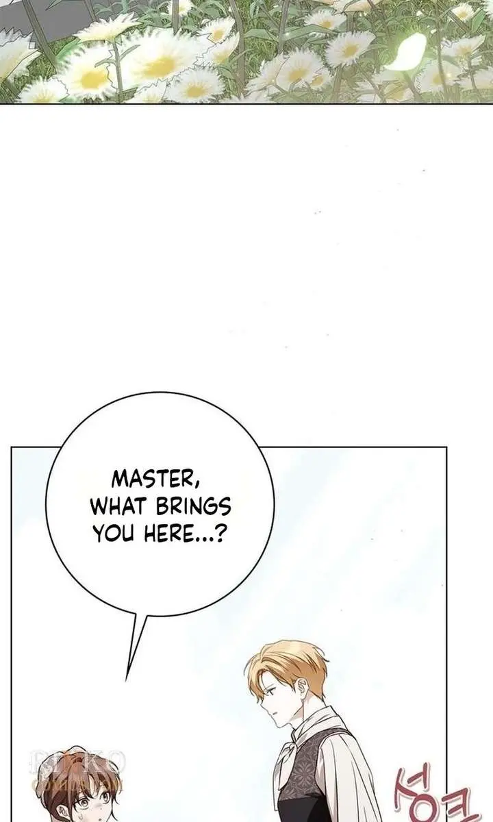 The Count's Secret Maid Chapter 88 Page 27