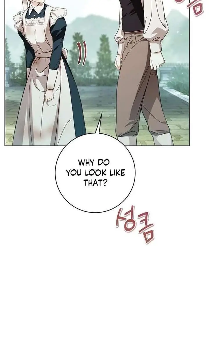 The Count's Secret Maid Chapter 88 Page 28