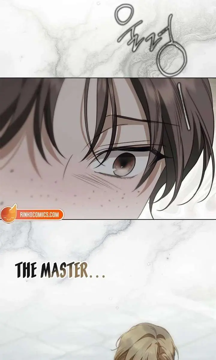 The Count's Secret Maid Chapter 88 Page 83