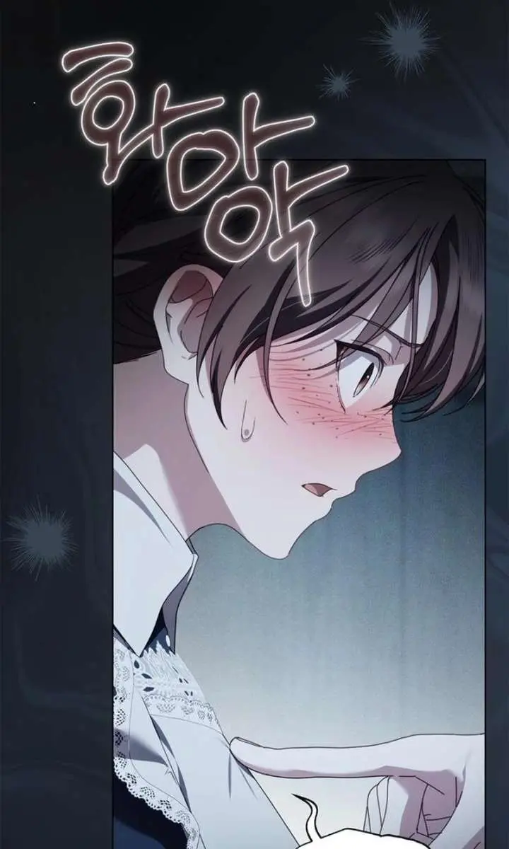 The Count's Secret Maid Chapter 89 Page 71