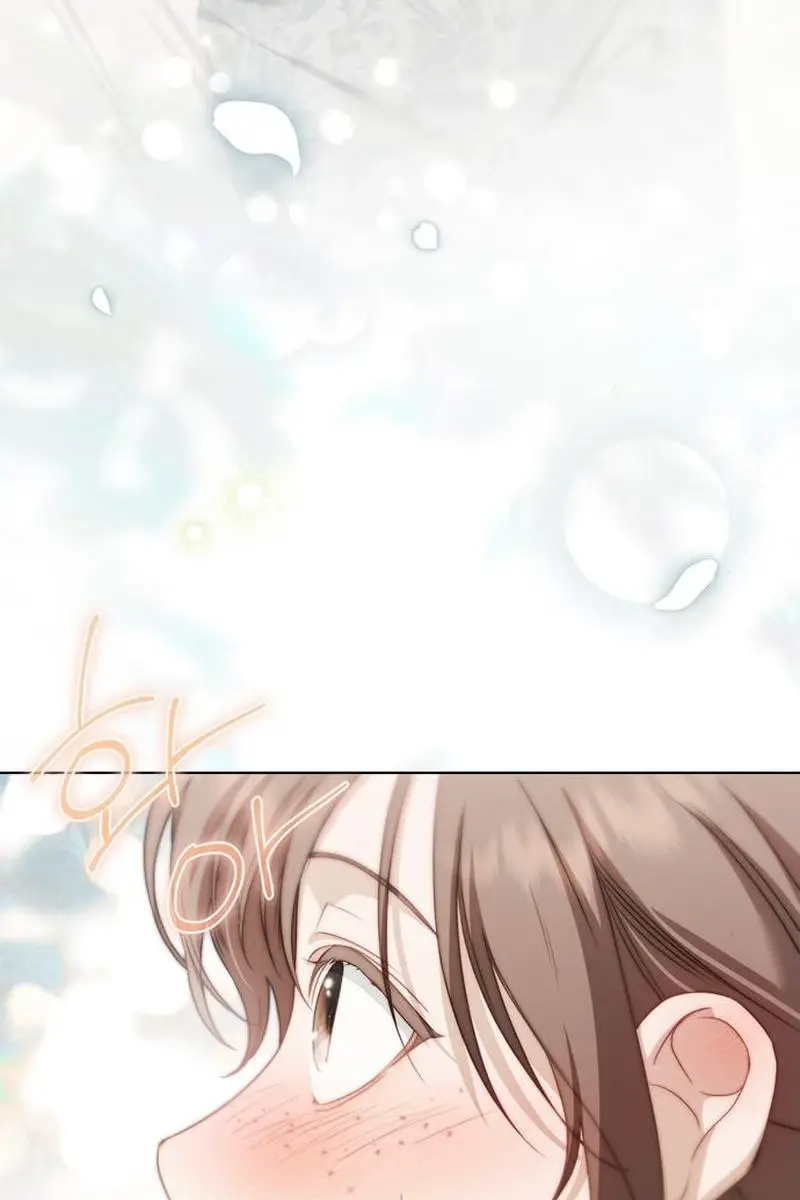 The Count's Secret Maid Chapter 90 Page 94