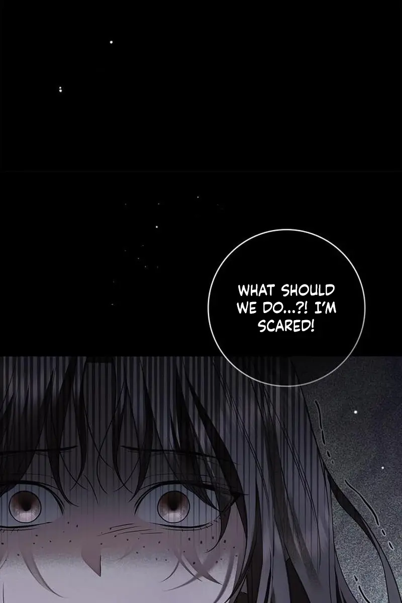 The Count's Secret Maid Chapter 90 Page 145