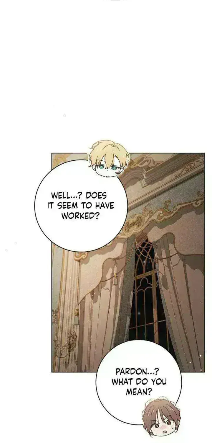 The Count's Secret Maid Chapter 94 Page 87