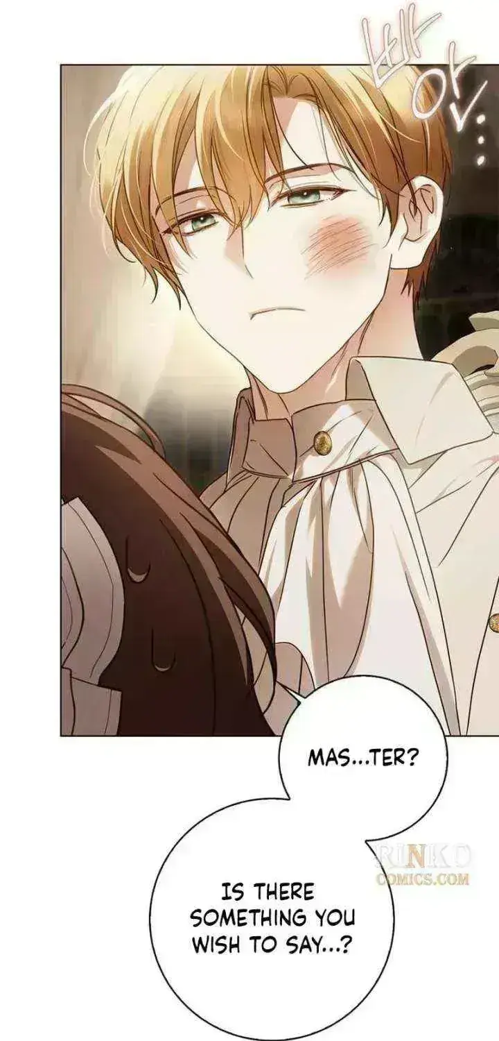 The Count's Secret Maid Chapter 96 Page 86