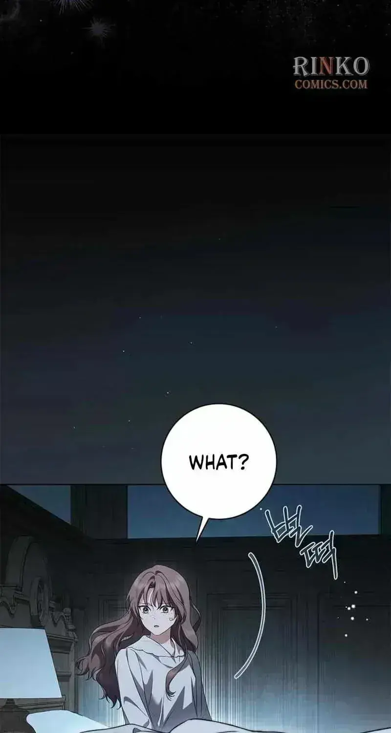 The Count's Secret Maid Chapter 97 Page 42