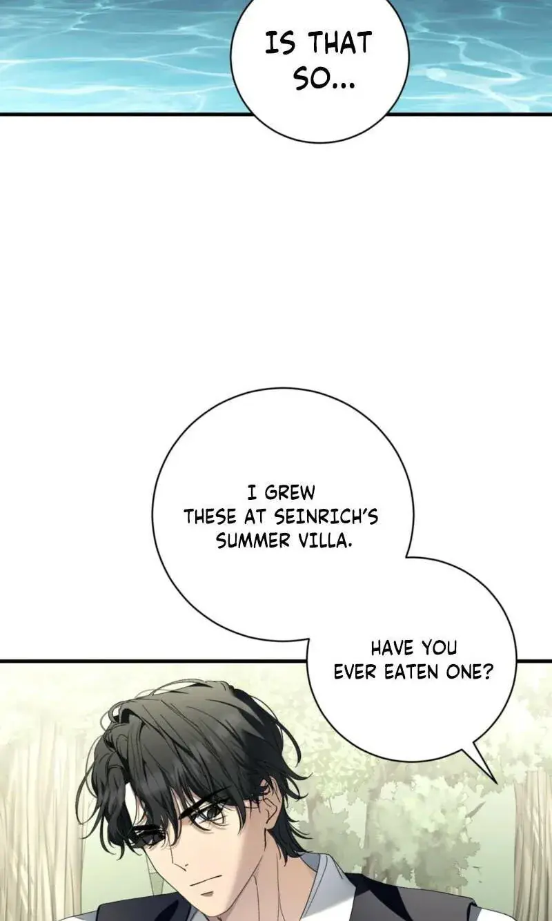 The Demon King Wants to Live in Peace Chapter 36 Page 81